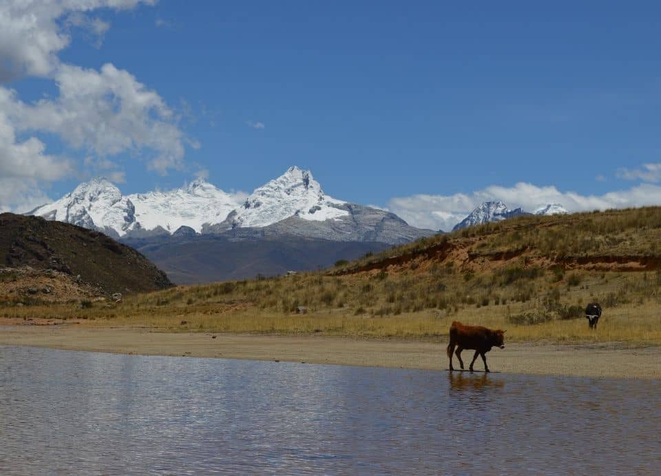 Laguna Antacocha