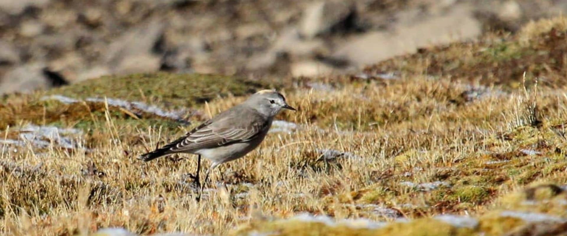 laguna de Pomacochas