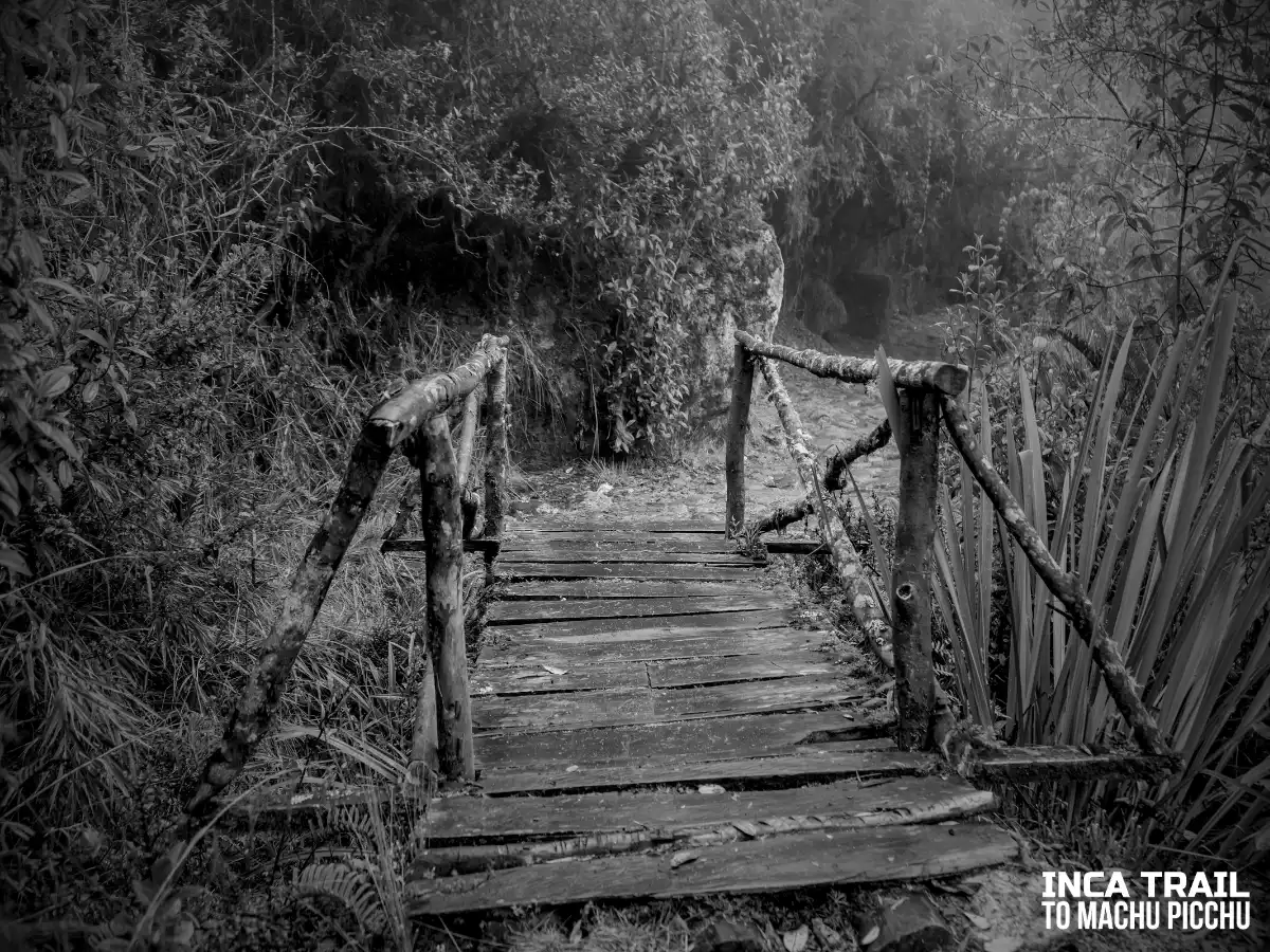 History of the inca trail│Historia del camino inca