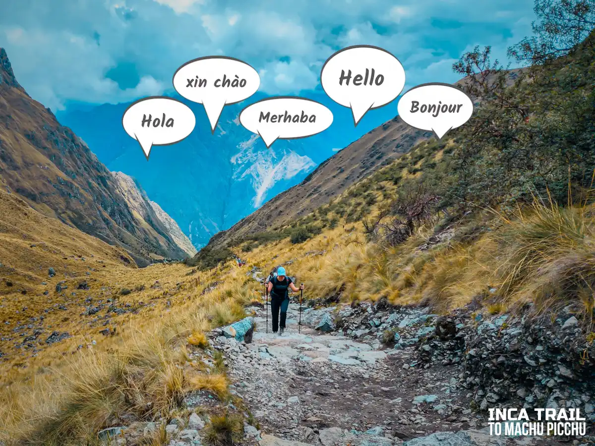 Tourists hiking the Inca Trail│Turistas recorren el Camino Inca.